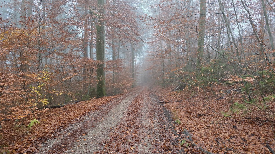 Im kalten Nebel versunken: Eine frische Gravel-Runde im Münchner Osten