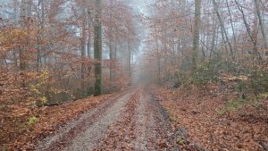 Im kalten Nebel versunken: Eine frische Gravel-Runde im Münchner Osten