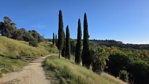 Von der City zur Festung: Kulturelle Wanderung zum Montjuïc in Barcelona