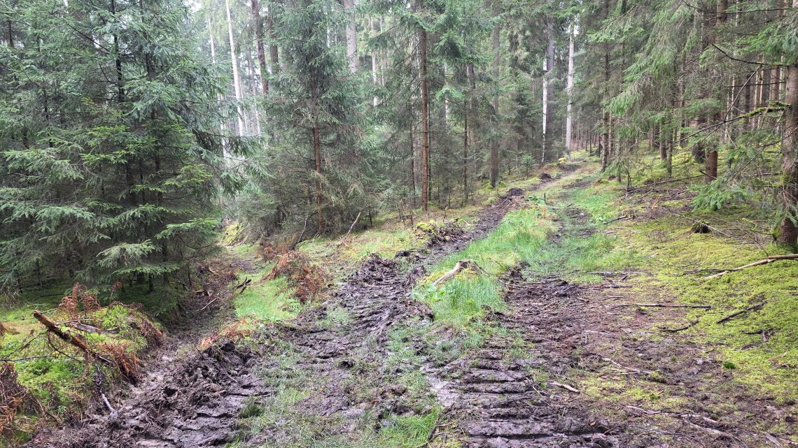Nach der Feier in den Matsch: 127 Kilometer Härtetest im Münchner Nordosten