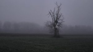 Matsch und Nebel im Doppelpack: Eine Gravel-Pflichtübung nach Moosburg