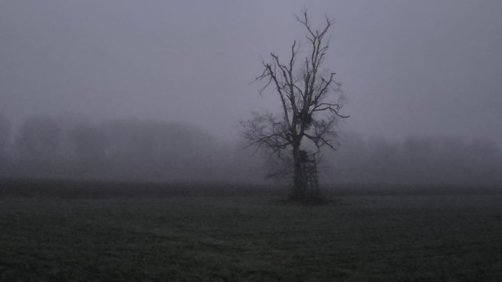 Matsch und Nebel im Doppelpack: Eine Gravel-Pflichtübung nach Moosburg
