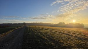 Lichtblick im Schlamm: Sonnige Winterrunde durch das Amperland