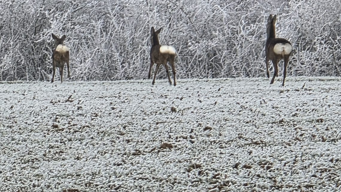 Die Frost-Prüfung: 8,5 Stunden Eiszeit in Richtung Aichach