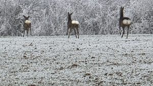 Die Frost-Prüfung: 8,5 Stunden Eiszeit in Richtung Aichach