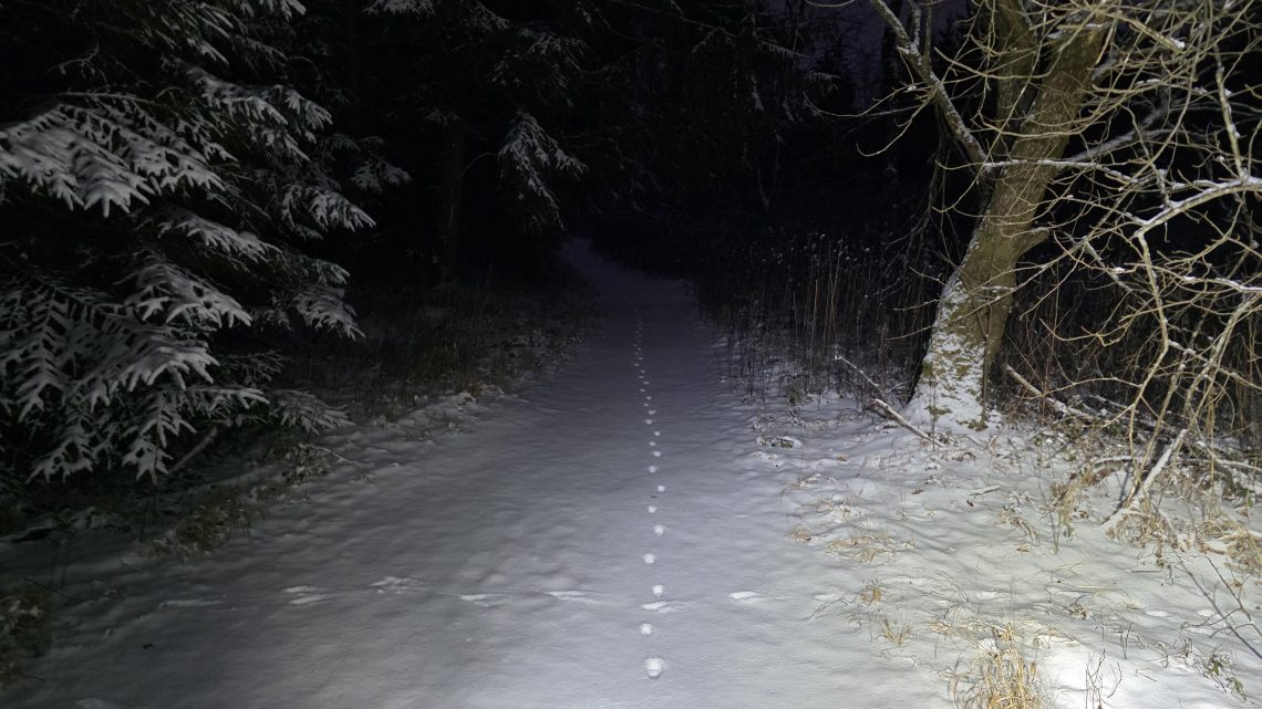 Wenn das Bauchgefühl die Richtung vorgibt: Die abgebrochene Schnee-Mission nach Kufstein