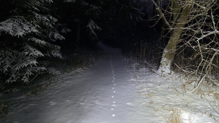 Wenn das Bauchgefühl die Richtung vorgibt: Die abgebrochene Schnee-Mission nach Kufstein