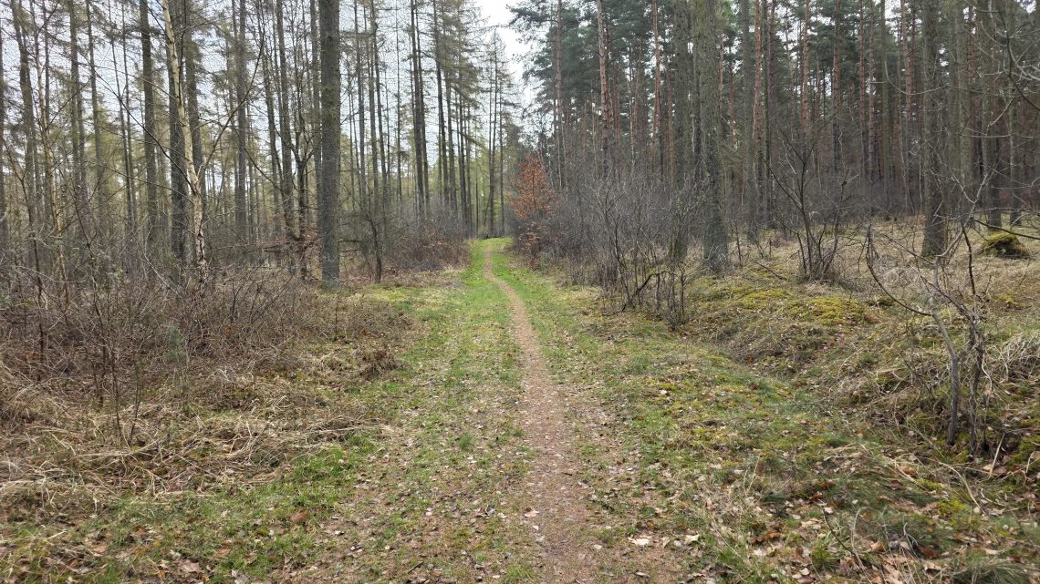 Ausrollen im Börde-Staub: Gravel-Entdeckungen bei Haldensleben