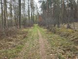 Ausrollen im Börde-Staub: Gravel-Entdeckungen bei Haldensleben