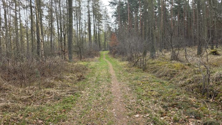Ausrollen im Börde-Staub: Gravel-Entdeckungen bei Haldensleben