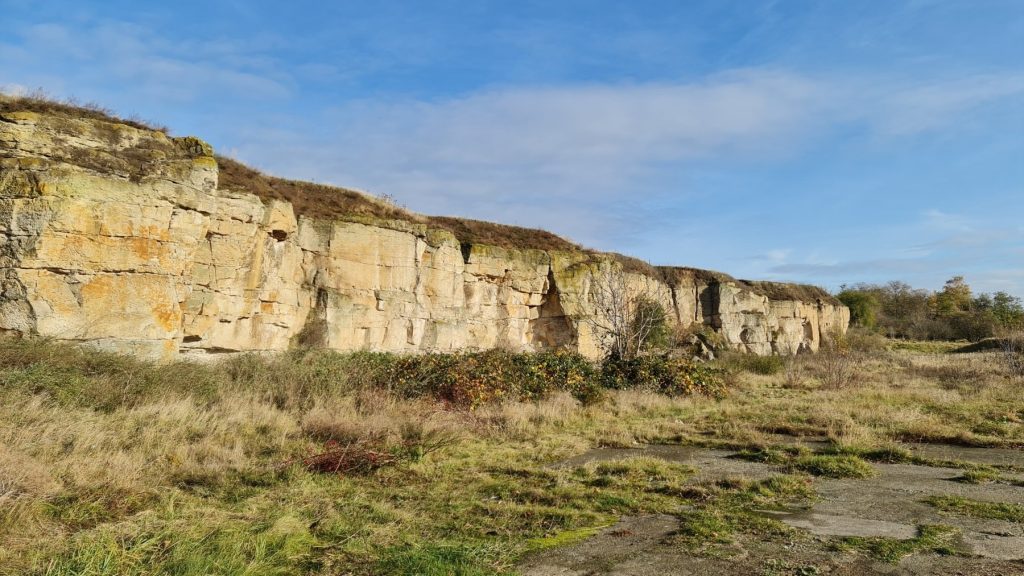 Sandsteinfelsen im Harzvorland