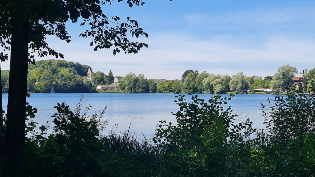 Blick über einen See an einem Sommertag