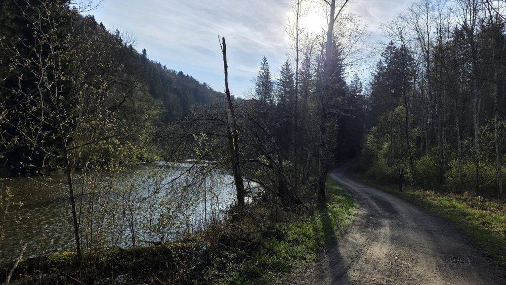 Schotterweg entlang der Mangfall bei Stürzlham, im Hintergrund die Berge
