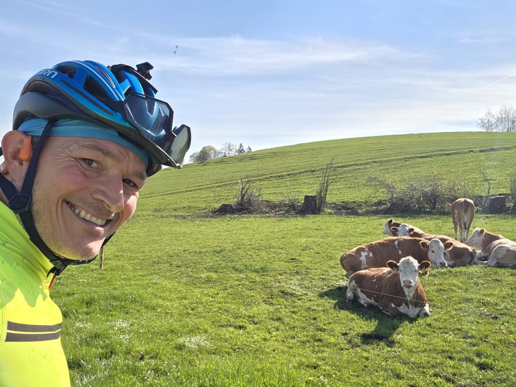 Selfie mit Fahrradhelm vor einer Herde Fleckvieh auf der Weide bei Thannseidl