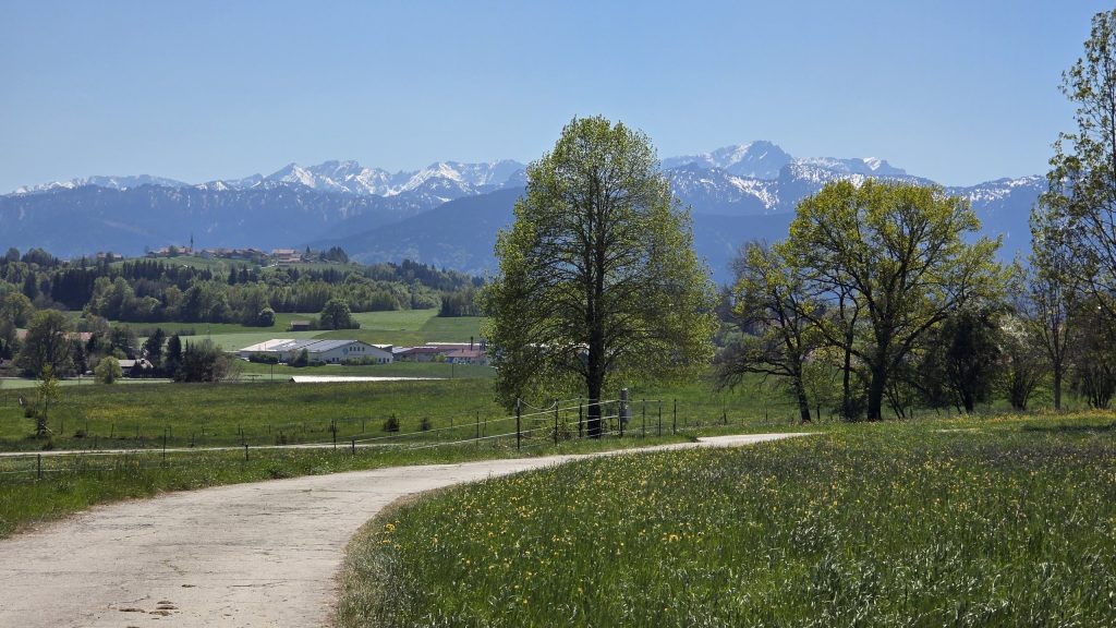 Feldweg mit Alpenkette bei Rottenbuch