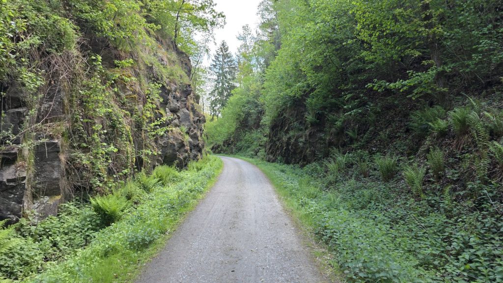 Radweg durch einen Felseinschnitt im Bayerischen Wald