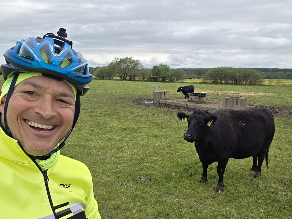 Selfie mit einem schwarzen Rind auf der Weide bei Vstiš