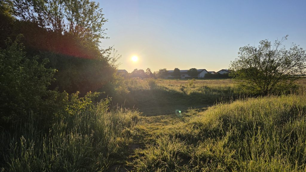 Sonnenaufgang über den Feldern bei Salmdorf