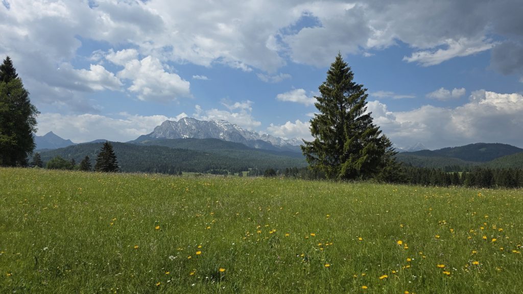 Buckelwiesen bei Mittenwald mit dem Karwendel