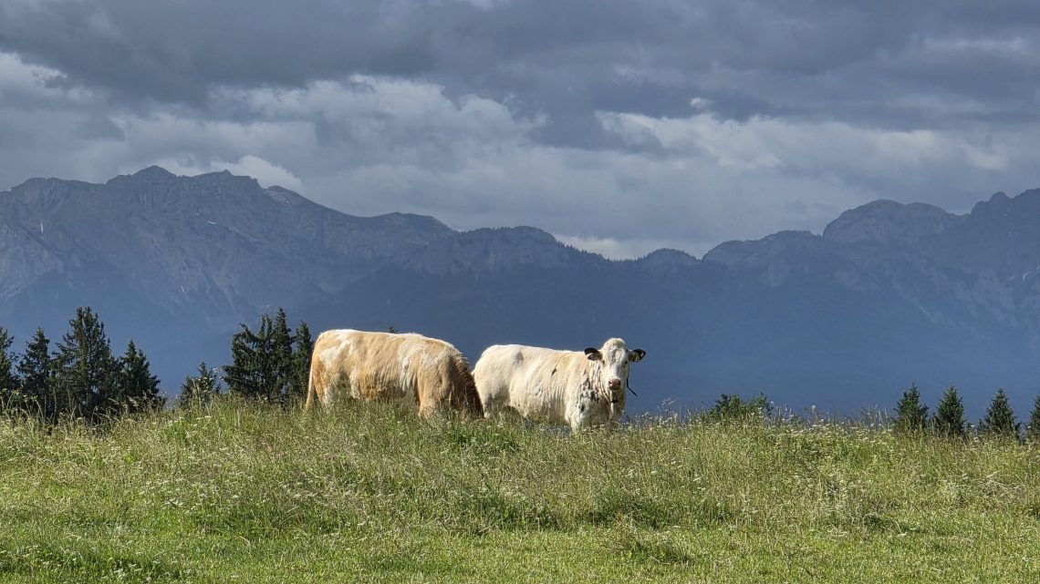 256 Kilometer Gegenwind: Gravel-Runde ins Ostallgäu und zurück