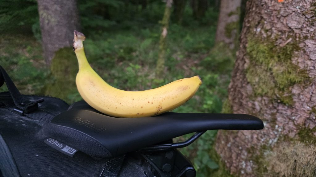Banane auf der Satteltasche im Wald bei Gauting