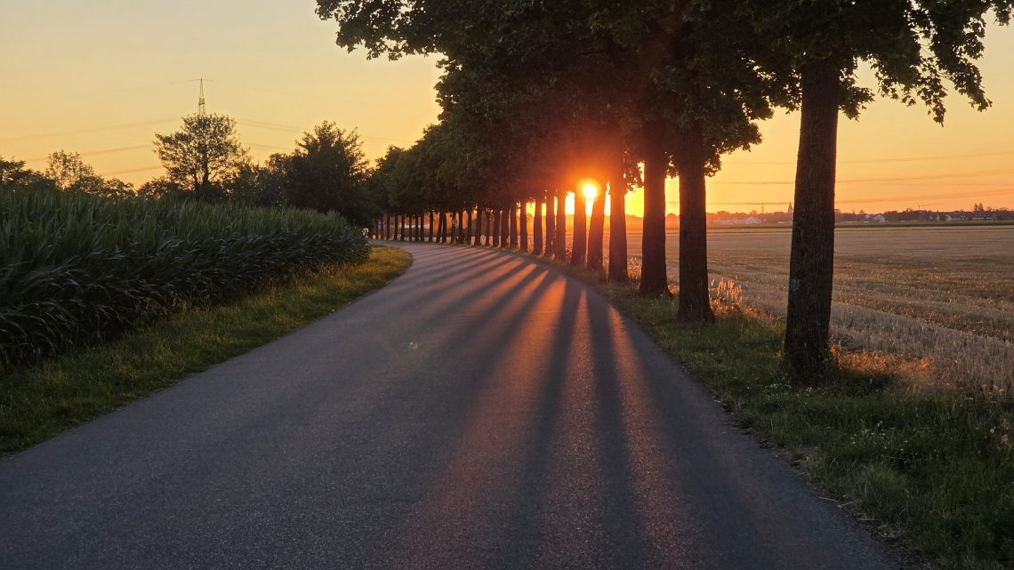 Sonnenaufgang in der Allee: Gravel-Runde über Freising und Erding