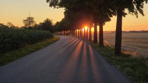 Sonnenaufgang in der Allee: Gravel-Runde über Freising und Erding
