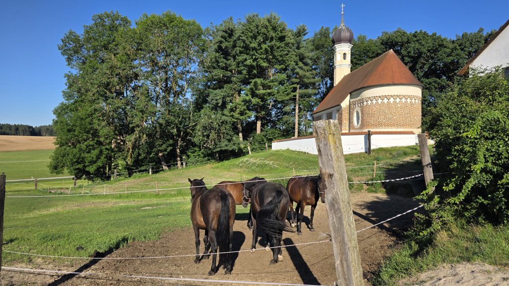 Pferde vor einer kleinen Kapelle bei Ebering