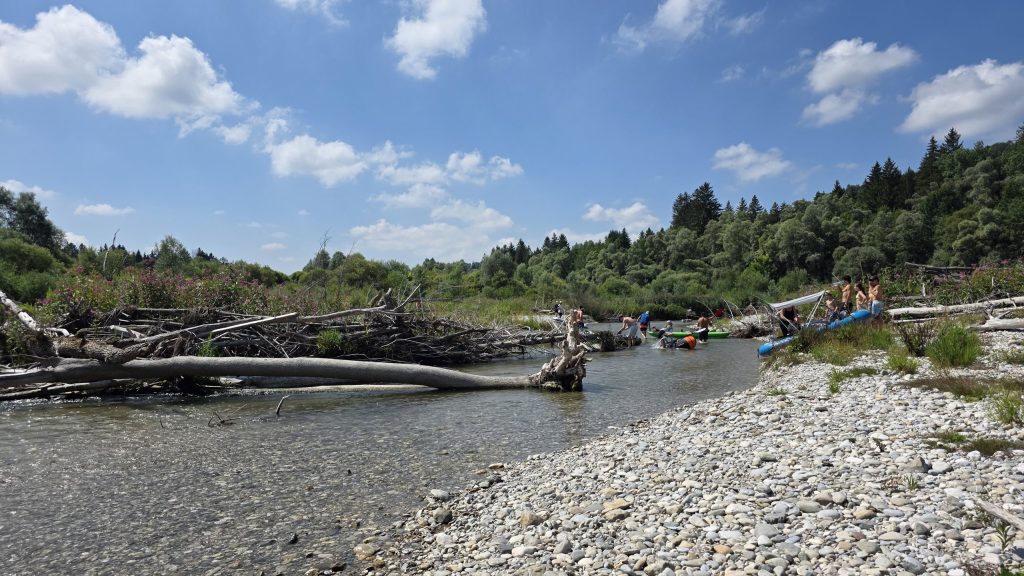 Kiesbank mit Schwemmholz an der Isar