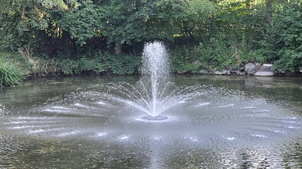 Springbrunnen im Dorfteich von Radlding