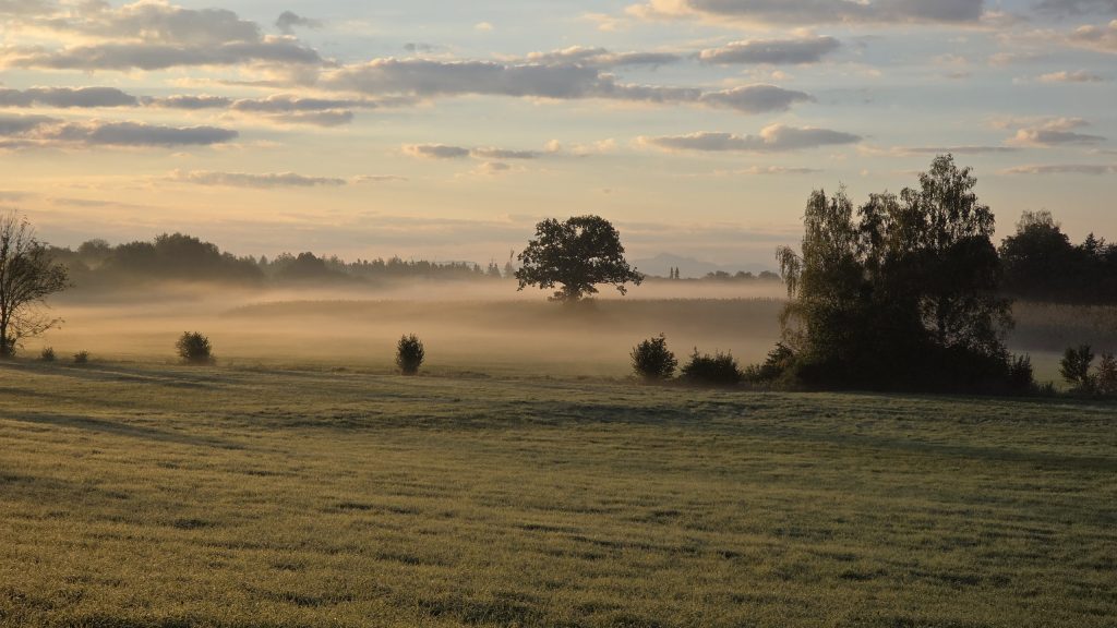 Sonnenaufgang mit Nebelschwaden bei Gindlkofen