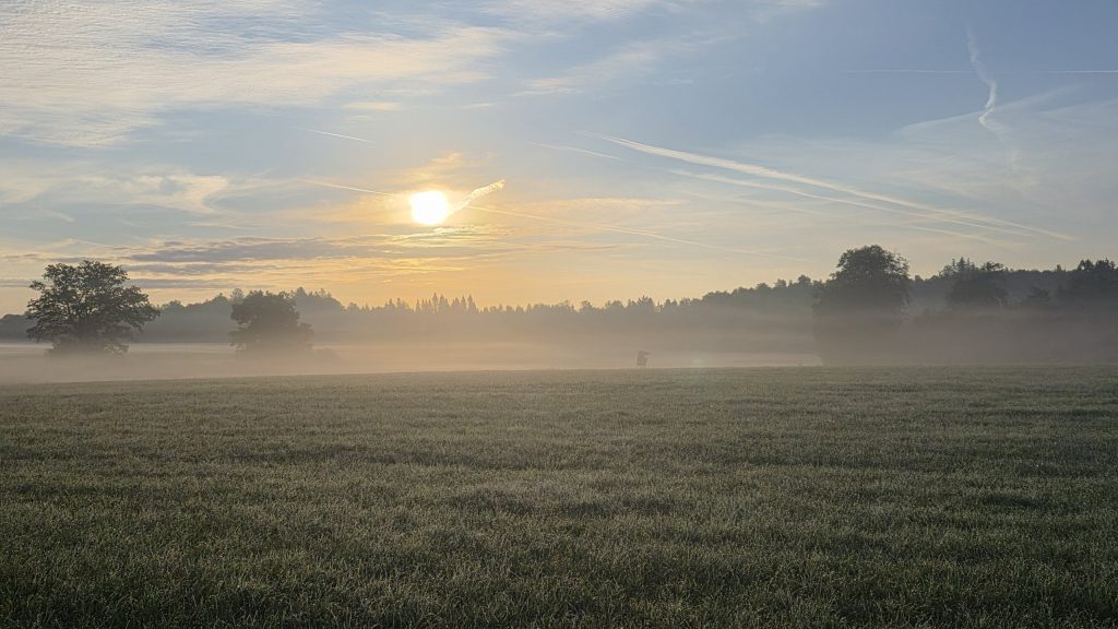 Sonnenaufgang im Nebel bei Seewiesen