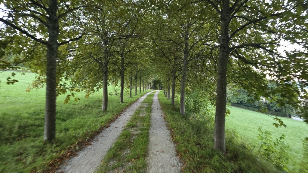 Allee mit Schotterweg bei Leoni