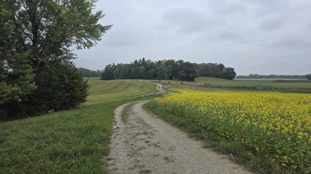Schotterweg zwischen Feldern bei Puch