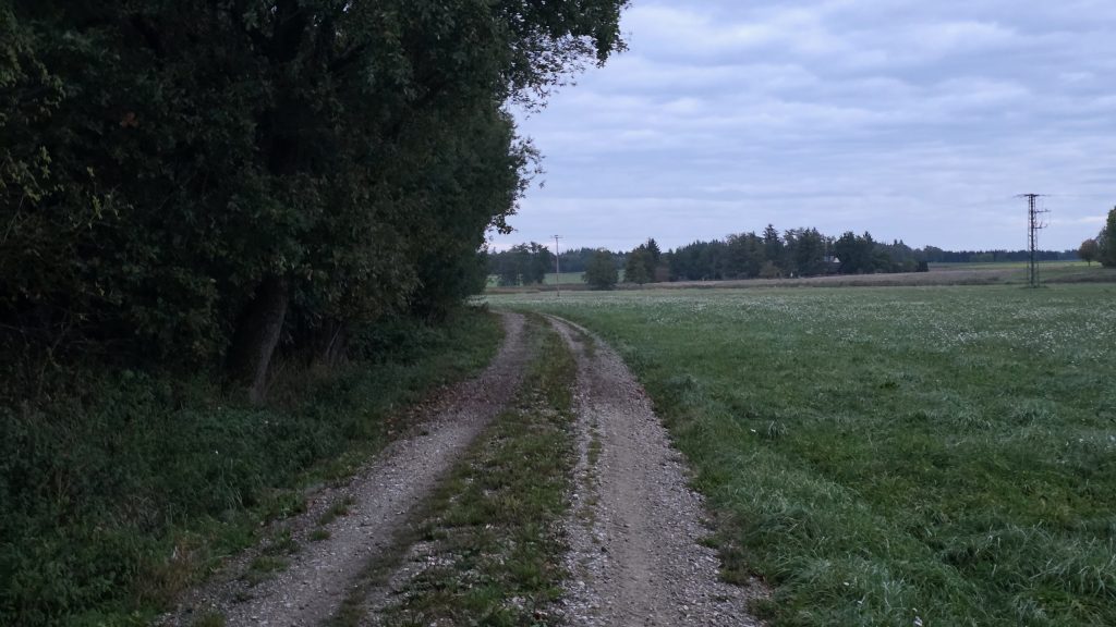 Feldweg am Waldrand bei Rottenfuß