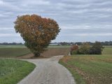 Herbstfarben und Freilandschweine: Gravel-Fahrt in den Münchner Westen