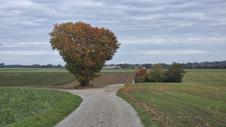 Herbstfarben und Freilandschweine: Gravel-Fahrt in den Münchner Westen