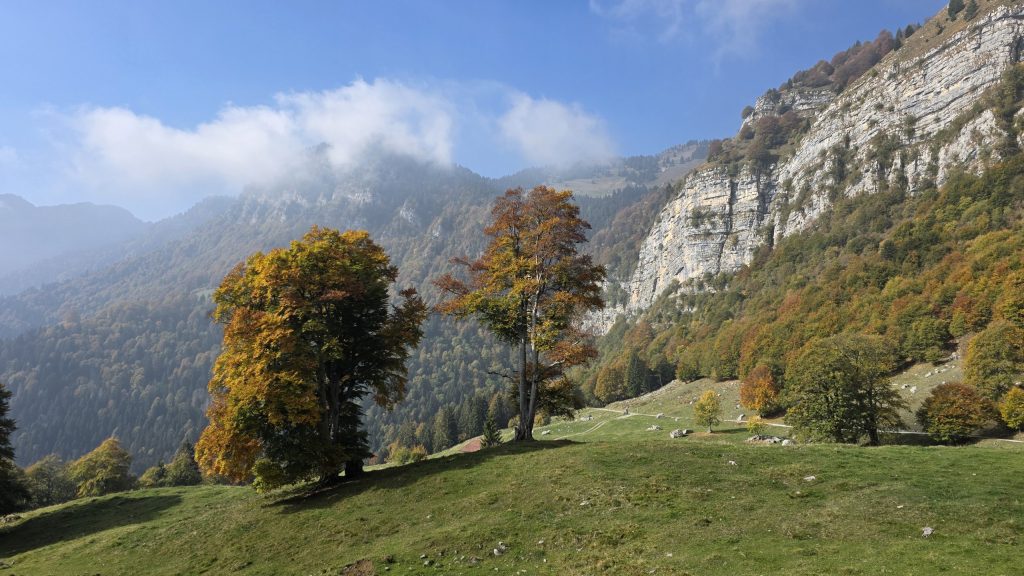 Malga Prà Pia mit Herbstbäumen unter den Felswänden